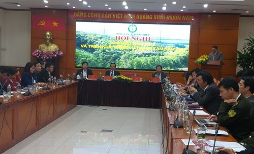 Lâm nghiệp Việt Nam hướng tới duy trì tăng trưởng gắn với phát triển thị trường trong năm 2020 - ảnh 1