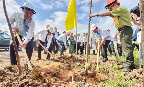 Thủ tướng Chính phủ gửi thư khen tỉnh Bến Tre hưởng ứng trồng cây - ảnh 1