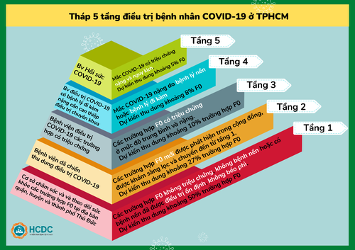 Thành phố Hồ Chí Minh triển khai các phương án hỗ trợ các ca bệnh điều trị kịp thời - ảnh 1