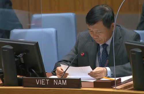 Việt Nam cùng cộng đồng quốc tế phấn đấu xóa bỏ hoàn toàn vũ khí hạt nhân - ảnh 1
