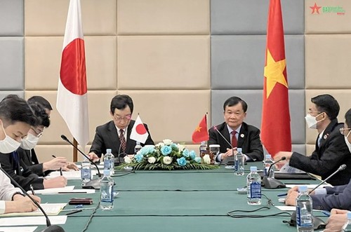Việt Nam - Nhật Bản thúc đẩy hợp tác quốc phòng - ảnh 1