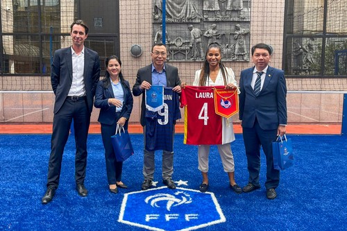 Việt Nam và Pháp tăng cường quan hệ hợp tác phát triển bóng đá - ảnh 1