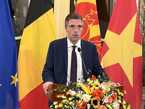 Sự hợp tác của Wallonie - Bruxelles góp phần thúc đẩy mối quan hệ song phương bền vững giữa Việt Nam và Bỉ - ảnh 2
