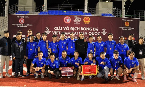 Hơn 1000 cầu thủ và cổ động viên tham dự Giải vô địch bóng đá Việt Nam tại Hàn Quốc lần thứ nhất - ảnh 5