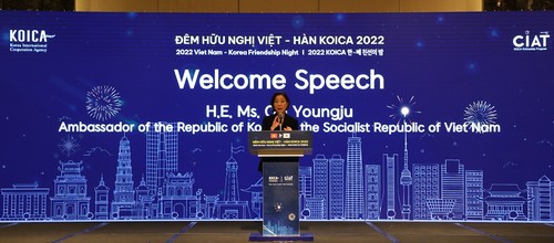 Đêm hữu nghị Việt - Hàn 2022 - ảnh 4