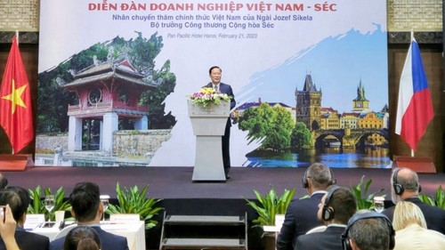 Đẩy mạnh hợp tác thương mại đầu tư giữa doanh nghiệp Việt Nam - Séc - ảnh 1