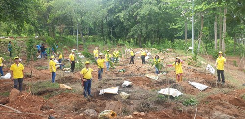 Đoàn đại biểu người Việt Nam ở nước ngoài trồng cây hưởng ứng Lễ phát động “Tết trồng cây đời đời nhớ ơn Bác Hồ” 2023 - ảnh 2