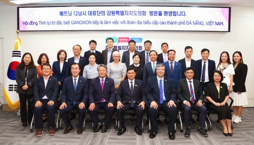 Hiệp hội VKBIA hỗ trợ  kết nối thành phố Đà Nẵng (Việt Nam) và Tỉnh tự trị đặc biệt Gangwon (Hàn Quốc) - ảnh 4