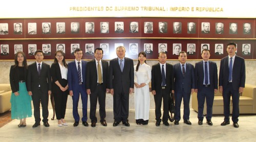 Thúc đẩy quan hệ hợp tác giữa hệ thống Tòa án hai nước Việt Nam – Brazil - ảnh 3