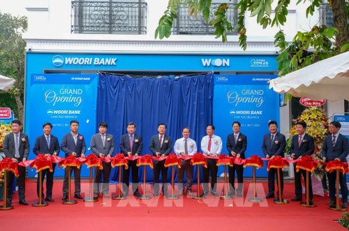 Ngân hàng lâu đời nhất Hàn Quốc mở chi nhánh tại Cần Thơ - ảnh 1