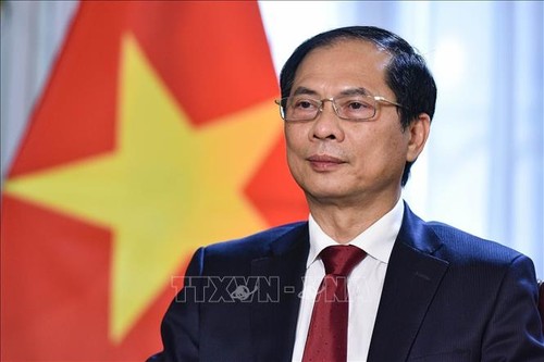 Bộ trưởng Ngoại giao Bùi Thanh Sơn gặp gỡ Bộ trưởng nhiều nước nhằm thúc đẩy quan hệ hợp tác song phương với Việt Nam - ảnh 1