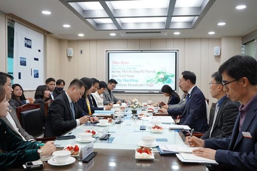 Thứ trưởng Bộ Ngoại giao Lê Thị Thu Hằng thăm, làm việc tại Hàn Quốc - ảnh 4