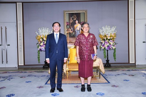 Bộ trưởng Ngoại giao Bùi Thanh Sơn đến chào Thủ tướng Thái Lan, tiếp kiến Công chúa Thái Lan - ảnh 2
