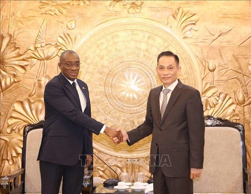 Làm sâu sắc hơn nữa quan hệ hữu nghị hợp tác giữa Việt Nam và Bờ Biển Ngà - ảnh 1