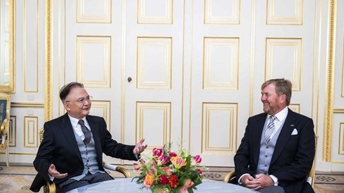 Netherlands-Vietnam relations to grow rapidly  - ảnh 1