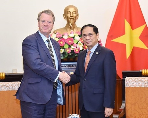 UK pledges to continue to help Vietnam combat climate change  - ảnh 1