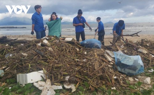 Thousands of Da Nang people join beach cleanups - ảnh 1
