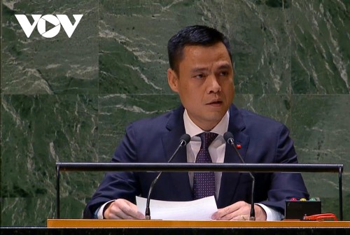 Vietnam voices stance on Middle East situation at UN General Assembly emergency special session  - ảnh 1