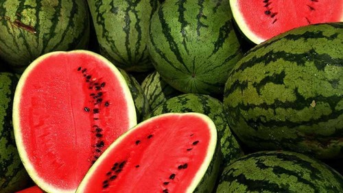 Vietnamese watermelon to be officially exported to China - ảnh 1