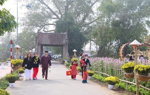 Foreign diplomats to explore Vietnamese Tet at Duong Lam village  - ảnh 1