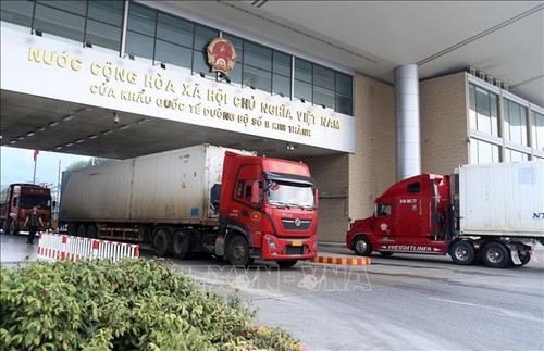 Vietnam shifts to official export linked with brand building - ảnh 1