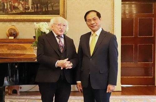Vietnam wants to enhance multi-faceted cooperation with Ireland  - ảnh 1