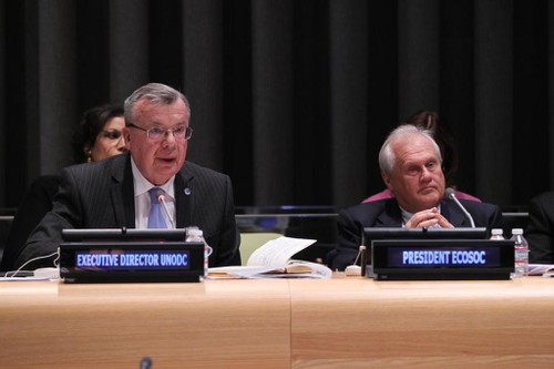 Генассамблея ООН рассмотрела ситуацию с мировой преступностью - ảnh 1