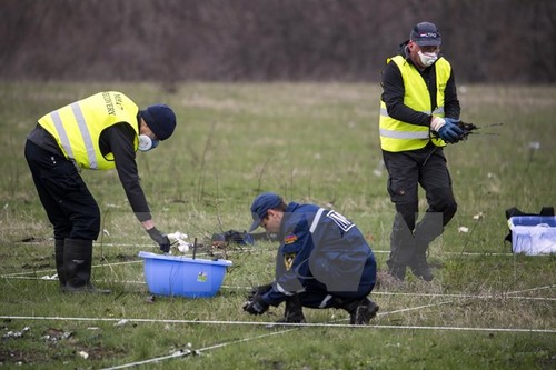 В Нидерланды доставлены последние тела жертв авиакатастрофы Боинга-777 - ảnh 1