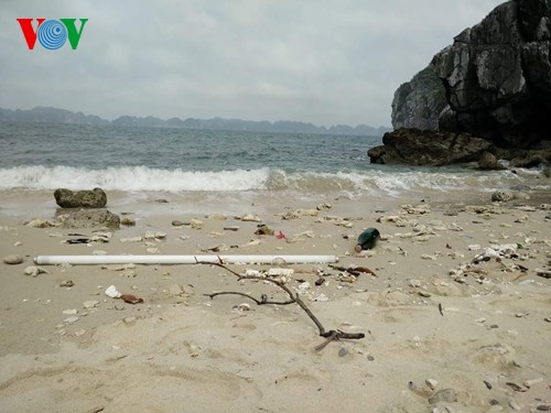 Русские туристы очистили от мусора побережье острова Катба - ảnh 1