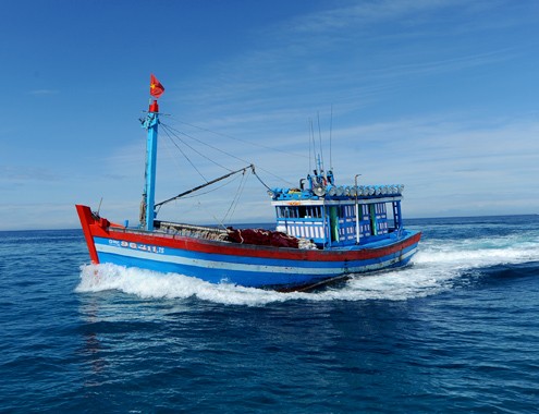 Вьетнам против введения Китаем запрета на ловлю рыбы в Восточном море - ảnh 1