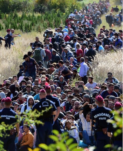 Венгрия сообщила о закрытии границы с Хорватией - ảnh 1
