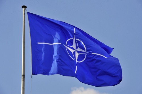 НАТО оценила стоящие перед ней вызовы - ảnh 1