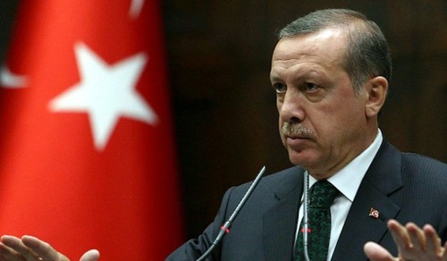 Турция опровергла критику западных стран - ảnh 1