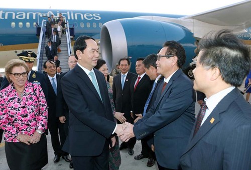 Президент Чан Дай Куанг принял участие в разных мероприятиях в рамках 24-м саммите АТЭС - ảnh 1