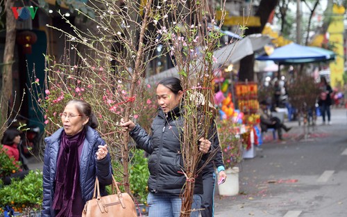 В самом центре Ханоя царит традиционная новогодняя атмосфера - ảnh 1