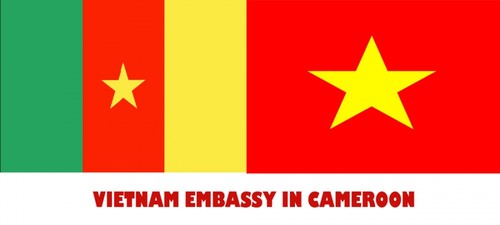 Скоро Вьетнам и Камерун отметят 45-летие установления дипотношений - ảnh 1