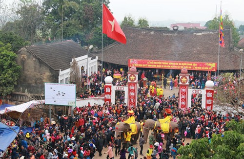 Шествие со слонами в уезде Тханьтхюи - ảnh 1