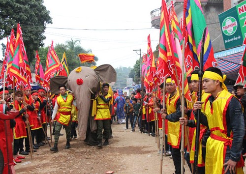 Шествие со слонами в уезде Тханьтхюи - ảnh 2