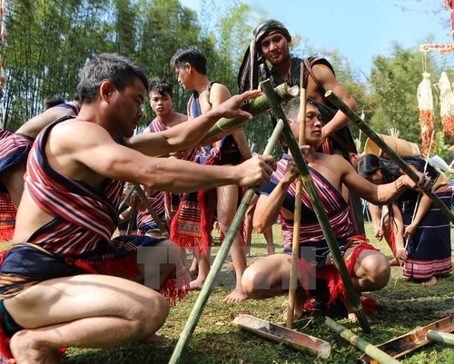 Март на плато Тэйнгуен – время народных праздников и фестивалей - ảnh 1