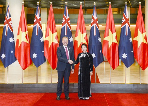 В Ханое прошли переговоры на высоком уровне между Вьетнамом и Австралией - ảnh 1
