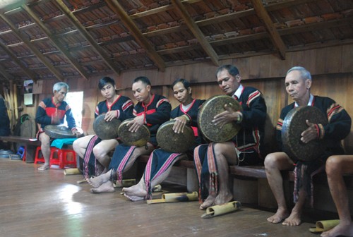 Сохранение традиционной музыки малых народностей Вьетнама - ảnh 2