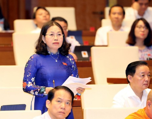 Национальное собрание Вьетнама продолжает рассматривать вопрос социально-экономического развития страны - ảnh 2