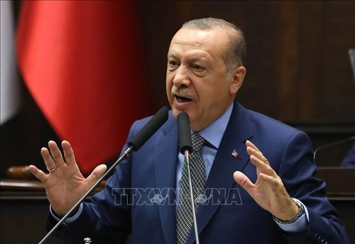 Турция надеется на участие других стран в карабахском урегулировании - ảnh 1
