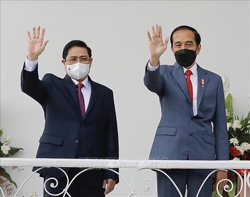 Индонезия и Камбоджа подчеркнули тесные отношения с Вьетнамом - ảnh 1