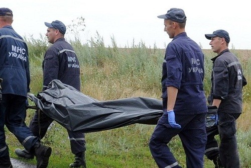 เนเธอร์แลนด์กำลังเร่งทำการชันสูตรศพของผู้โดยสารที่เสียชีวิตจากเหตุเที่ยวบินเอ็มเอช๑๗ตก - ảnh 1