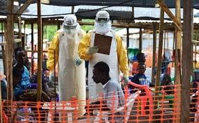 มีผู้เสียชีวิตจากการติดเชื้อไวรัสอีโบลากว่า๑หมื่น๑พันคน  - ảnh 1