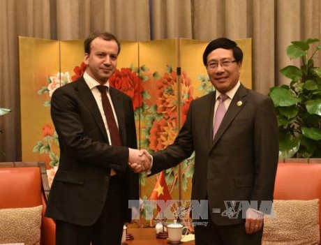 รองนายกรัฐมนตรีฝามบิ่งมิงพบปะกับนายกรัฐมนตรีจีนและรองนายกรัฐมนตรีรัสเซีย - ảnh 2