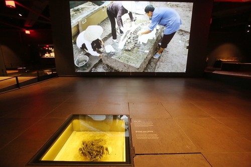 เขตจัดแสดง“การค้นพบด้านโบราณคดีใต้พื้นที่ของอาคารรัฐสภา”  - ảnh 7