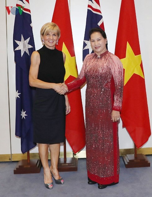 ประธานสภาแห่งชาติเวียดนามพบปะกับรัฐมนตรีต่างประเทศออสเตรเลีย - ảnh 1
