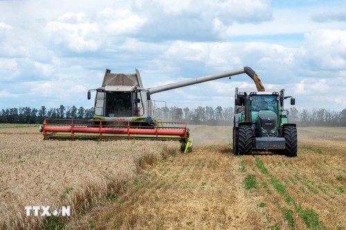 ยุโรปผ่อนคลายกฎระเบียบด้านสิ่งแวดล้อมที่กระทบต่อภาคการเกษตร - ảnh 1